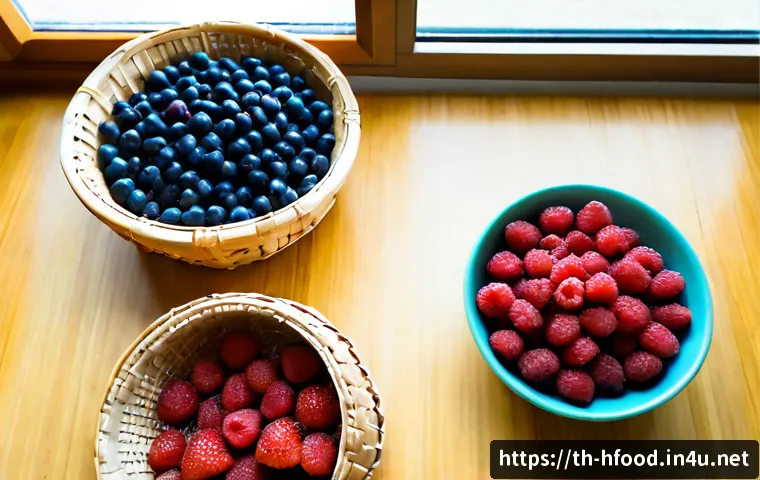 피부미용에 효과적인 베리류 - Photorealistic overhead still life of skin-beauty-friendly berries popular in Thailand: fresh mulber...